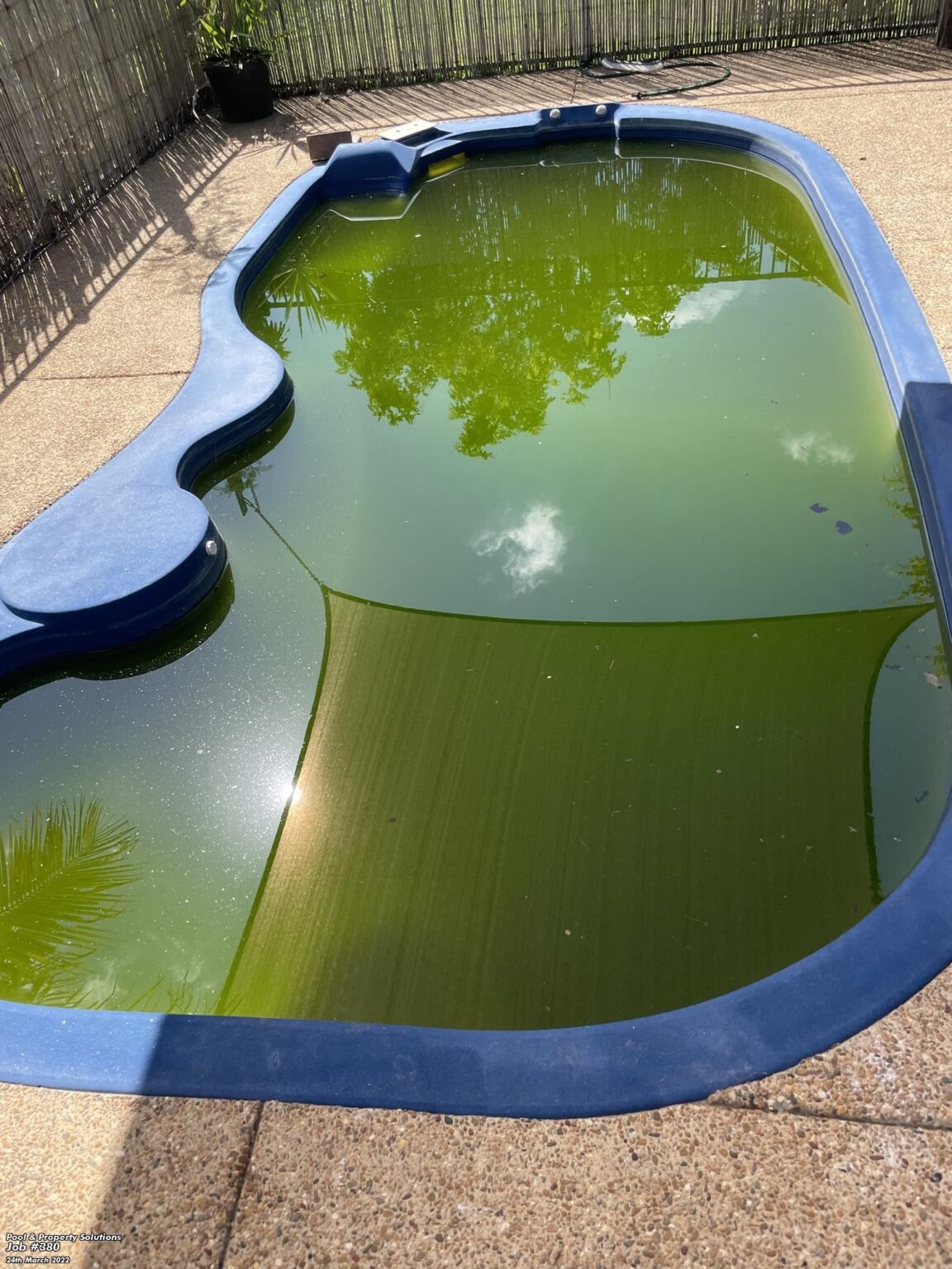 green-pool-before-4-1152x1536